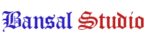 bansal-studio-udaipur-logo
